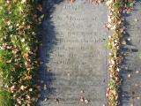 image of grave number 658940